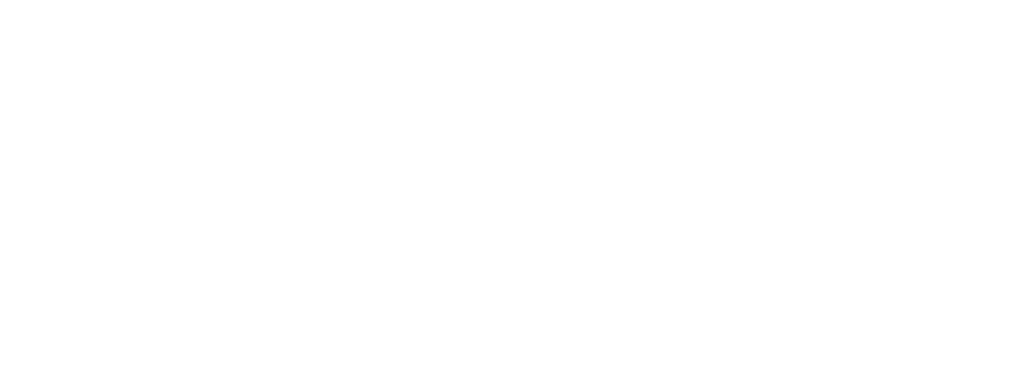 Toom_Baumarkt Logo_weiß